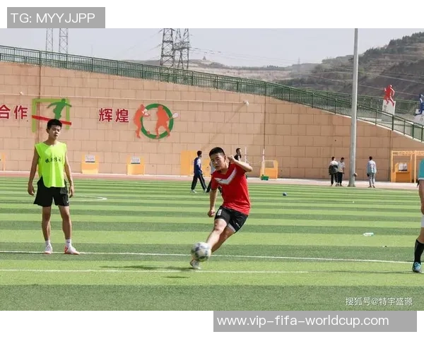 花儿与少年足球的梦想之旅：青春与激情交织的绿茵场上成长故事