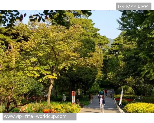 香山公园的秋日美景与少林足球的激情碰撞之旅